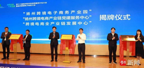 揚(yáng)州軟件和信息服務(wù)外包大會(huì)成功舉辦，廣陵區(qū)國家電子商務(wù)示范基地正式揭牌